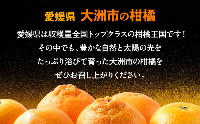 【贈答用】【先行予約】【3月上旬より順次発送】 甘平 2.5kg L・2Lサイズ 愛媛県大洲市/有限会社西山青果 かんぺい カンペイ 柑橘 みかん 果物 [AGAR014]