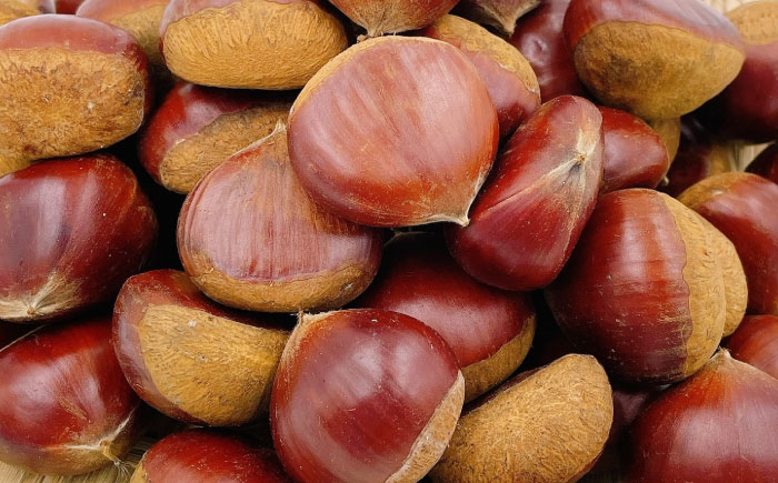 【先行予約】【9月下旬から順次発送】栗1kg（L〜4Lサイズ） 愛媛県大洲市/株式会社フジ・アグリフーズ [AGBA020]栗 テリーヌ 甘露煮 栗ごはん 栗の渋皮煮 秋の味覚 くり 和菓子 栗ご飯 栗きんとん スイーツ クリ モンブラン マロン