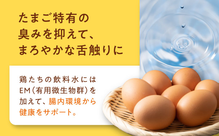 【全6回定期便】平飼い 海草たまご 10パック（100個入り）割れ保証あり 愛媛県大洲市/和田養鶏場 卵 たまご 鶏卵 卵料理 玉子 [AGDQ015]