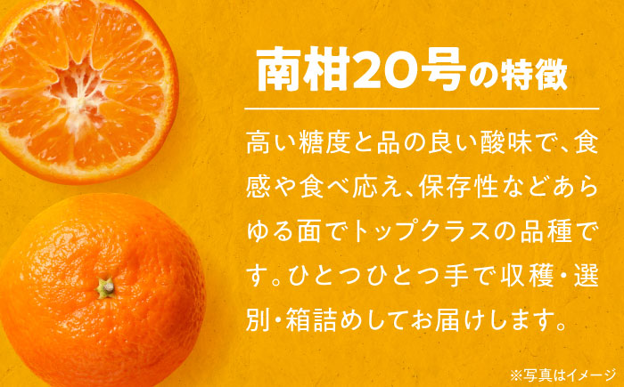 【先行予約】【12月上旬から順次発送】本場ならではの品質！柑橘王国愛媛県産温州みかん 南柑20号 5kg　愛媛県大洲市/有限会社カーム/カームシトラス [AGBW001]みかん オレンジ フルーツ ミカン 果物 愛媛みかん こたつ みきゃん スムージー デザート おやつ ヨーグルト 料理