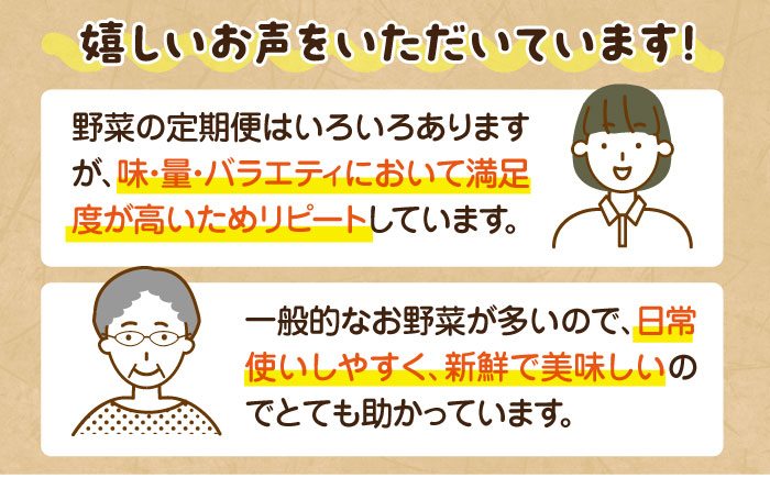 【全12回定期便】産地直送！鮮度抜群！旬を味わう新鮮野菜と果物の詰め合わせセレクションボックス（8種以上）　愛媛県大洲市/たいき産直市愛たい菜 [AGAP011]野菜 サラダ トマト 料理 夏野菜 ダイエット ヘルシー 新鮮 きゅうり 野菜料理 キャベツ とうもろこし 和食 大根 ミニトマト