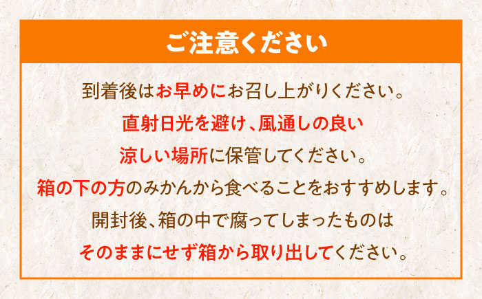 【贈答用】 早生みかん 3kg　愛媛県大洲市/有限会社西山青果 早生みかん 温州みかん みかん 果物 ギフト フルーツ [AGAR007]