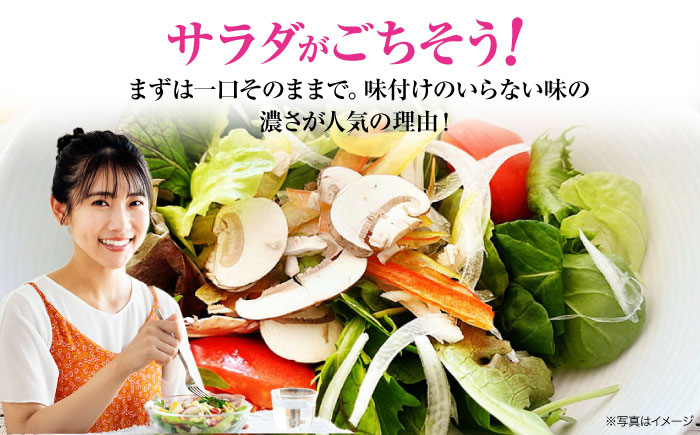 【全3回定期便】【2ヶ月に1回】栽培期間中農薬不使用！大満足 旬のお野菜セット 愛媛県大洲市/有限会社ヒロファミリーフーズ [AGBX042]