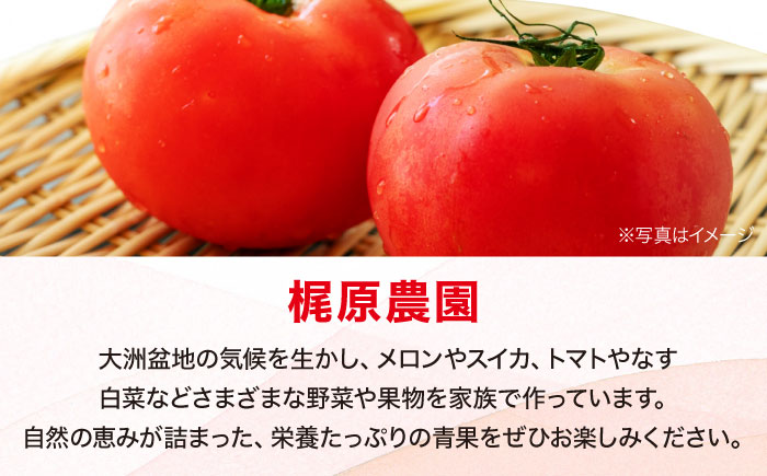 【先行予約】【4月上旬から順次発送】 トマト 桃太郎 12から15玉 約2.3kg 愛媛県大洲市/梶原農園 とまと 大玉トマト 野菜 リコピン 人気 [AGCX003]