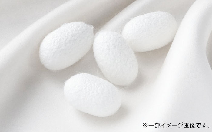 おおず繭せっけん　2個　愛媛県大洲市/OZU＋（オオズプラス）石鹸 シルクせっけん 絹 [AGAD010]