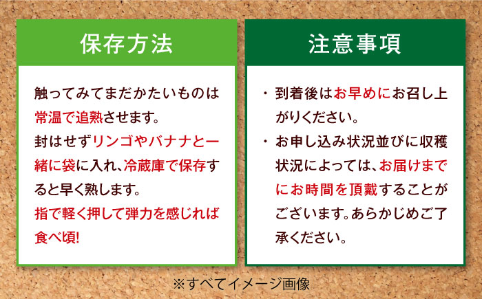 【先行予約】【1月上旬より順次発送】生産量日本一！家族で毎日食べられる！甘熟キウイ　3L〜4Lサイズ（20〜24玉入）　愛媛県大洲市/沢井青果有限会社果物 [AGBN001]キウイ フルーツ かき氷果物 スムージー おやつ ジュース ヨーグルト 手作りスイーツ お菓子作り デザート