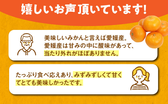 【先行予約】【11月下旬から順次発送】おひさまの光をいっぱい浴びて育ちました！新鮮！温州みかん 10kg　愛媛県大洲市/永沼農園 [AGAW002]みかん オレンジ フルーツ ミカン 果物 愛媛みかん みきゃん スムージー デザート おやつ ヨーグルト 調味料 ドレッシング 隠し味 料理