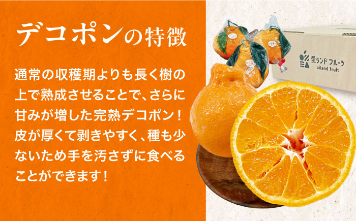 【先行予約】【3月下旬から順次発送】樹の上で熟成！愛媛県大洲市産「完熟デコポン」5〜6個　愛媛県大洲市/株式会社フジ・アグリフーズ [AGBA008] みかん 愛媛みかん 柑橘 果物 フルーツ
