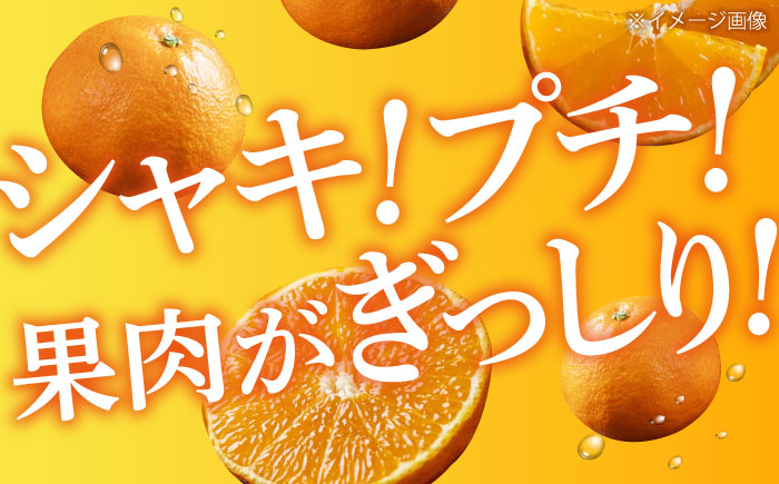 【先行予約】【2025年2月上旬から順次発送】【期間・数量限定】愛媛限定栽培！ 甘平（かんぺい）2L〜3L玉サイズ 約3kg箱入（10玉〜12玉）甘平 みかん 愛媛みかん 柑橘 愛媛県大洲市/愛媛たいき農業協同組合[AGAO010]