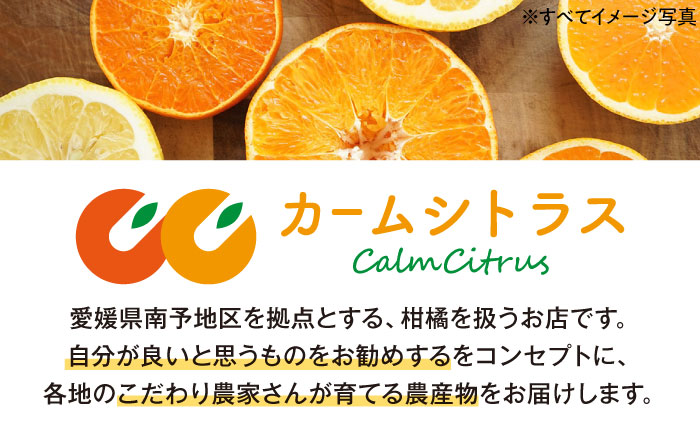 ãå
è¡äºçŽãã2026幎1æäžæ¬ããé æ¬¡çºéãããŸãããæéžãæè©°ããæž©å·ã¿ãã åæ20å· çŽ4kg æåªç倧掲åž/ã«ãŒã ã·ãã©ã¹ ã¿ãã ãã«ã³ èæ æç© ãã ãã® ãã«ãŒã