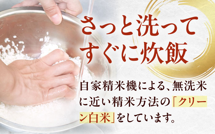 お米 ヒノヒカリ 3kg（3kg×1袋）米・食味鑑定士×お米ソムリエ×白米ソムリエ お米 おこめ 白米 ごはん 愛媛県産お米 大洲市/稲工房案山子 [AGAV025]
