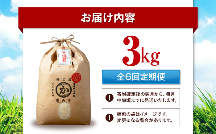 【全6回定期便】お米 ヒノヒカリ 3kg（3kg×1袋）米・食味鑑定士×お米ソムリエ×白米ソムリエ お米 おこめ 白米 ごはん 愛媛県産お米 大洲市/稲工房案山子 [AGAV027]