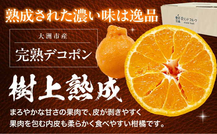 【先行予約】【3月下旬から順次発送】樹の上で熟成！愛媛県大洲市産「完熟デコポン」5〜6個　愛媛県大洲市/株式会社フジ・アグリフーズ [AGBA008] みかん 愛媛みかん 柑橘 果物 フルーツ