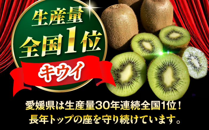 キウイフルーツヘイワード 大玉150g以上 16個 甘熟パック入り・フルーツキャップ付き 愛媛県大洲市/西村農園 キウイ 果物 くだもの フルーツ 生産量日本一 [AGDC003]