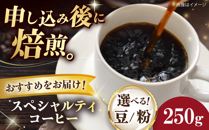 コーヒー豆 スペシャルティコーヒー おすすめ1種 250g 珈琲 コーヒー豆 コーヒー粉 コーヒー ドリップ ドリップ珈琲 飲料 愛媛県大洲市/株式会社日珈 [AGCU025] お正月 クリスマス