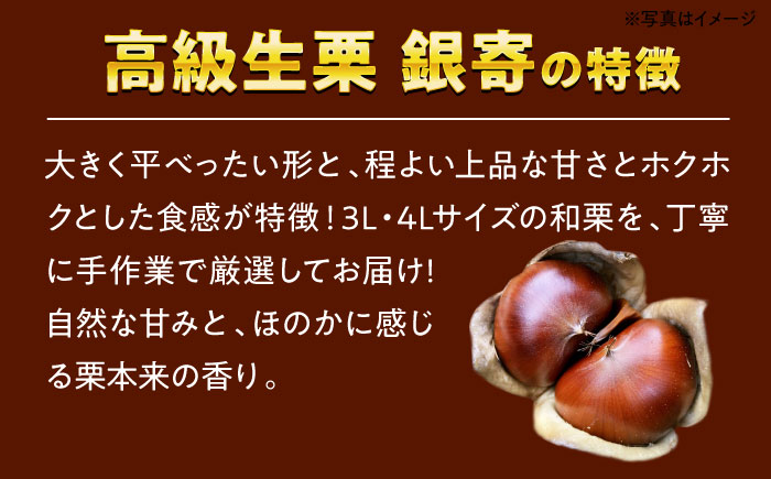 【先行予約】【9月中旬から順次発送】和栗の代表！上品な甘さ！あじさい農園の高級生栗「銀寄」（1kg）　愛媛県大洲市/あじさい農園 [AGAE010]くり クリ モンブラン マロン 秋の味覚 和菓子 栗ご飯 栗ごはん 栗きんとん ケーキ スイーツ クリ 手作りスイーツ素材 おやつ 材料