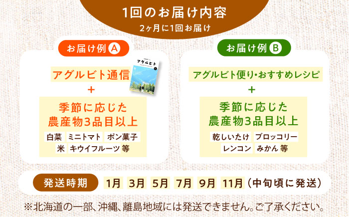 【全6回定期便】生産者の顔が見えるから安心して食べられる！毎回ちがう旬の農産物定期便　愛媛県大洲市/大洲市青年農業者協議会 [AGBL001]サラダ カレー トマト 料理 収穫 ダイエット ヘルシー ブロッコリー きゅうり キャベツ 鍋 健康 とうもろこし 果物 和食 スープ ミニトマト