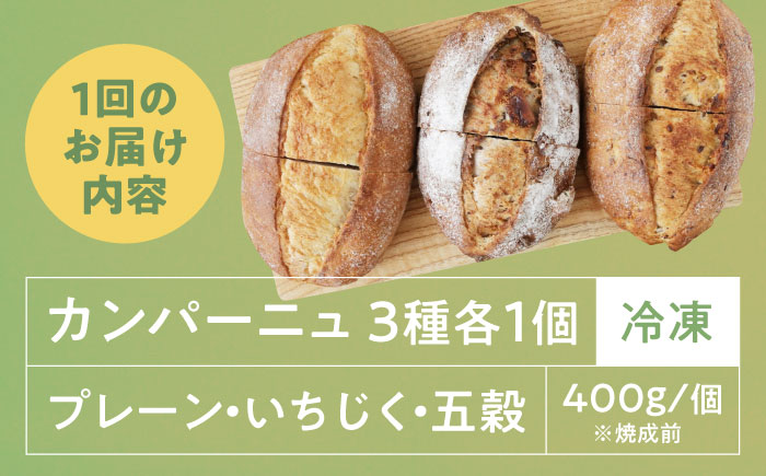 【全3回定期便】【冷凍】　カンパーニュ3種セット (プレーン・いちじく・五穀) 愛媛県大洲市/株式会社アライ 冷凍パン ハードパン 食事パン 朝食 ベーカリー 冷凍 [AGAY051]