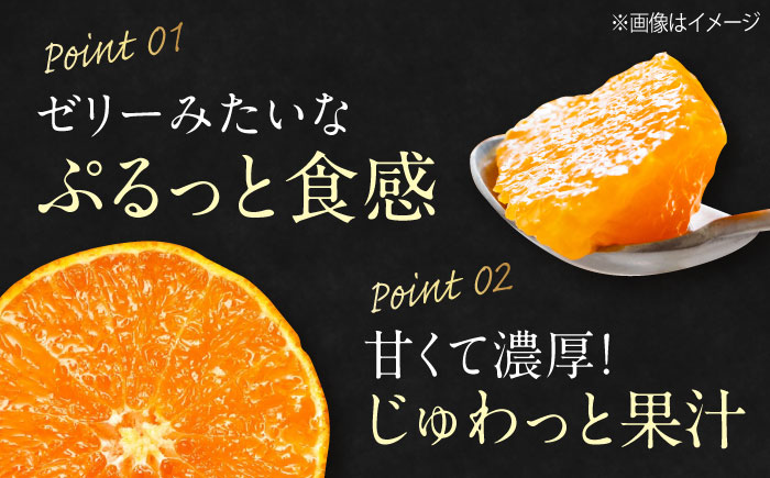 【先行予約】【11月下旬から順次発送】【期間・数量限定】愛媛限定栽培！ 紅まどんな Lサイズ 約3kg（15玉入）化粧箱入 果物 フルーツ みかん ミカン まどんな 愛媛県大洲市/愛媛たいき農業協同組合[AGAO006]
