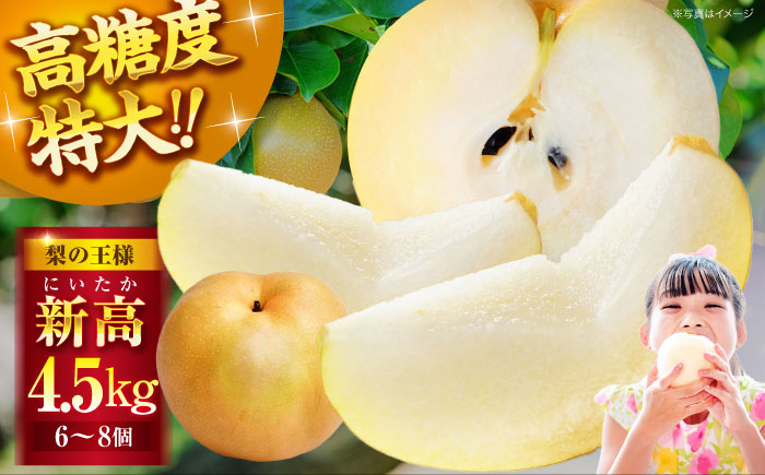 【先行予約】【2026年10月上旬から順次発送】「梨の王様」特大新高　梨4.5kg（6個から8個入り）　愛媛県大洲市/幸野観光なし園 [AGBD002] 梨 果物 秋の味覚 フルーツ なし  おやつ かおり 朝ごはん 大好物 サラダ 晩ごはん ヨーグルト デザート 手作りスイーツ 手作りお菓子 料理 隠し味