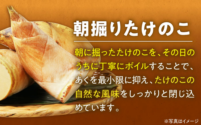 4月28日まで！朝堀りたけのこの水煮（1袋300から350g）5袋セット　愛媛県大洲市/沢井青果有限会社 [AGBN011]筍 タケノコ 竹の子 春 筍ご飯 たけのこご飯 煮物 旬の食材 山菜 筍ごはん メンマ 和食 料理 天ぷら 夕飯  炊き込みご飯 カレー 晩ごはん