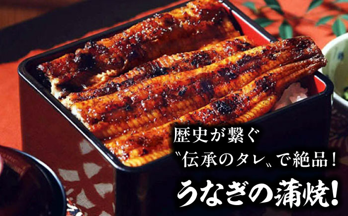 夜の大洲城を眺めながらのお食事【との町たる井2階席 お食事チケット10000円】 愛媛県大洲市/有限会社 樽井旅館 チケット ディナー 体験 食事 レストラン 和食 日本料理 いも炊き [AGAH017]