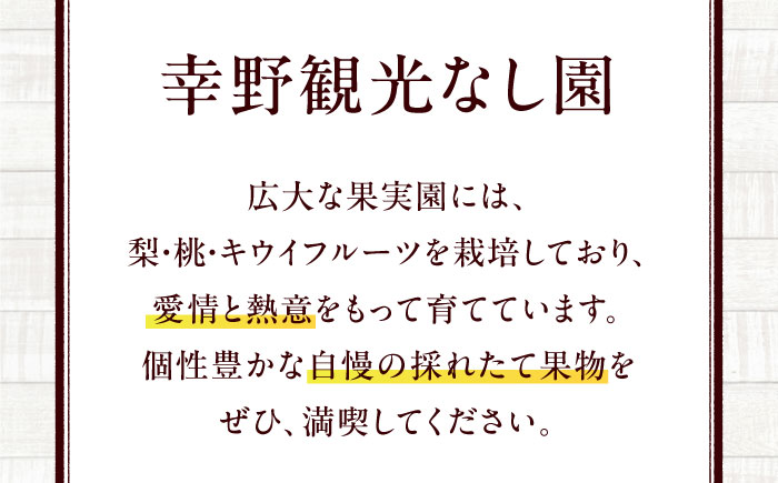 【先行予約】【7月中旬から順次発送】桃果樹園からの恵み！あまい香りとあふれる果汁！厳選の桃9〜13玉入り 愛媛県大洲市/幸野観光なし園［AGBD006］