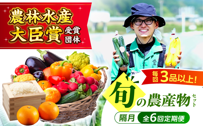 【全6回定期便】生産者の顔が見えるから安心して食べられる！毎回ちがう旬の農産物定期便　愛媛県大洲市/大洲市青年農業者協議会 [AGBL001]サラダ カレー 料理 収穫 ダイエット ヘルシー ブロッコリー きゅうり キャベツ 鍋 健康 とうもろこし 果物 和食 スープ