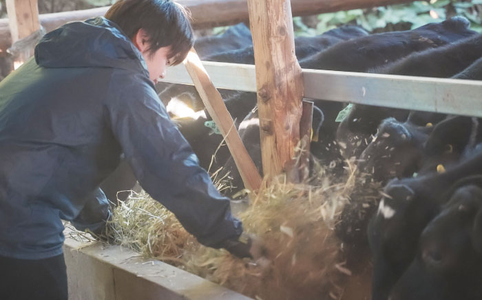 【冷凍】 愛姫牛 肉屋のこだわりお惣菜 タレ漬けミックスホルモン 500g×8パック 4kg 愛媛県大洲市/有限会社 木村屋精肉店 [AGCC071]牛肉 和牛 牛 国産 国産和牛 愛媛県産 大洲市産 人気 おすすめ ランキング 簡単 おいしい お肉 肉 国産肉 焼肉 送料無料 お取り寄せ グルメ ホルモン 冷凍 焼き肉 BBQ バーベキュー ホルモン焼きそば ホルモン炒め