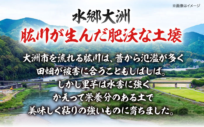 【年内発送】水郷大洲のいも炊きセット　愛媛県大洲市/大洲市物産協会 [AGBM004]郷土料理 名物 和食 おふくろの味 お家ごはん おやつ 煮物  お正月 クリスマス