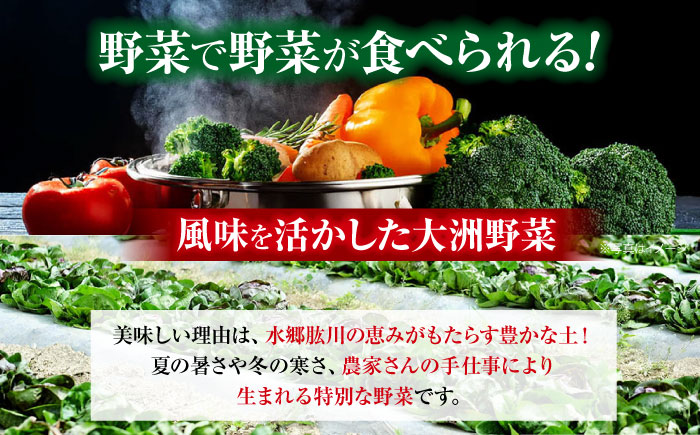 【全3回定期便】【2ヶ月に1回】 クリーン白米+旬のお野菜セット 愛媛県大洲市/有限会社ヒロファミリーフーズ [AGBX040]