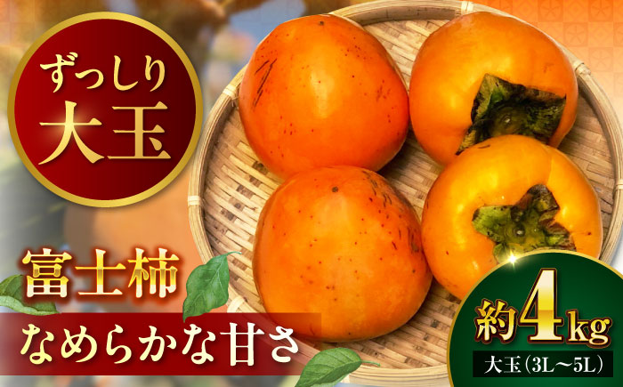 [先行予約]富士柿 4kg 愛媛県大洲市/有限会社西山青果 柿 かき 果物 ギフト フルーツ たねなし [AGAR015]