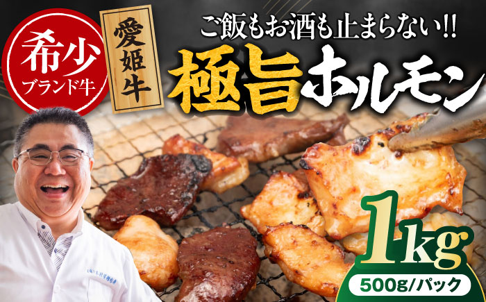 [冷凍] 愛姫牛 肉屋のこだわりお惣菜 タレ漬けミックスホルモン 500g×2パック 1kg 愛媛県大洲市/有限会社 木村屋精肉店 [AGCC068]牛肉 和牛 牛 国産 国産和牛 愛媛県産 大洲市産 人気 おすすめ ランキング 簡単 おいしい お肉 肉 国産肉 焼肉 送料無料 お取り寄せ グルメ ホルモン 冷凍 焼き肉 BBQ バーベキュー ホルモン焼きそば ホルモン炒め