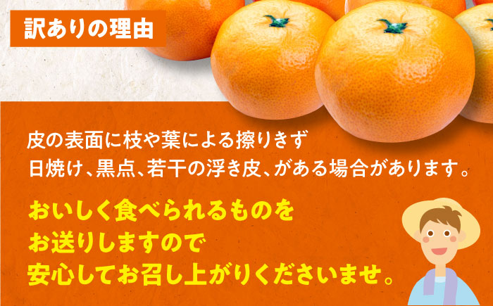 【全2回定期便】【11月中旬と12月中旬の2回発送】【ちょっと訳あり】温州みかん 10kg 2回 定期便  愛媛県大洲市/有限会社カーム/カームシトラス 温州みかん みかん 柑橘 愛媛みかん [AGBW008]