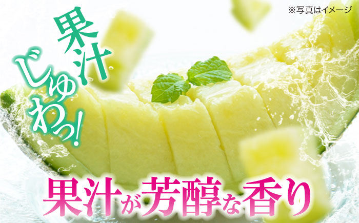 【先行予約】【6月上旬から順次発送】 メロン フェリーチェ 2から3玉 愛媛県大洲市/梶原農園　めろん 果物 フルーツ くだもの 青肉 高級 お取り寄せ　 [AGCX002]