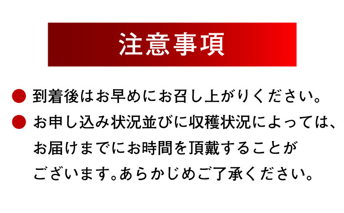 【11月以降順次発送】生産量日本一！家族で毎日食べられる！キウイフルーツ 約5kg　愛媛県大洲市/沢井青果有限会社果物 [AGBN002]キウイ フルーツ かき氷 果物 スムージー おやつ ジュース キウイフルーツ ヨーグルト 手作りスイーツ お菓子作り デザート