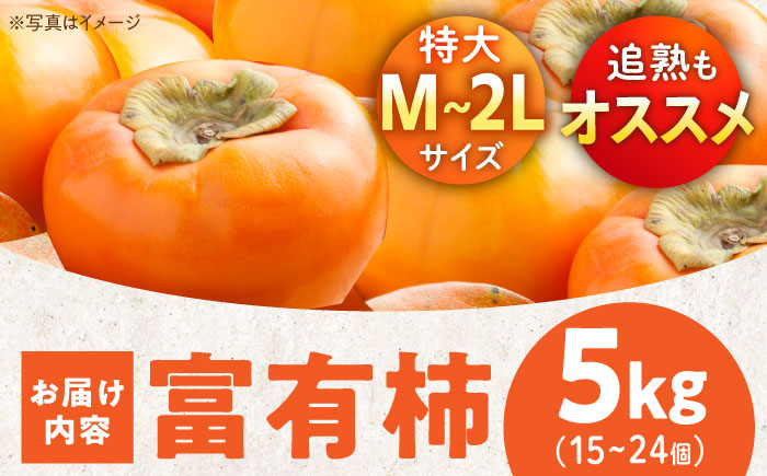 【先行予約】【11月初旬より順次発送】愛媛県産 富有（ふゆう）柿　Mから2Lサイズ 約5kg 箱入（15〜24玉）　愛媛県大洲市/沢井青果有限会社 [AGBN023]秋 フルーツ 果物 柿ジャム かき 柿レシピ デザート スイーツ 新鮮 くだもの