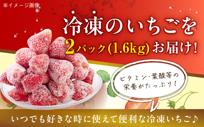 【冷凍】おいしさそのままぎゅっと閉じ込めました！紅ほっぺ800g×2パックセット　愛媛県大洲市/沢井青果有限会社 [AGBN041]苺 イチゴ スイーツ ケーキ かき氷 いちごパフェ ストロベリー おやつ デザート フルーツサンド いちご大福 手作り 甘い 果物