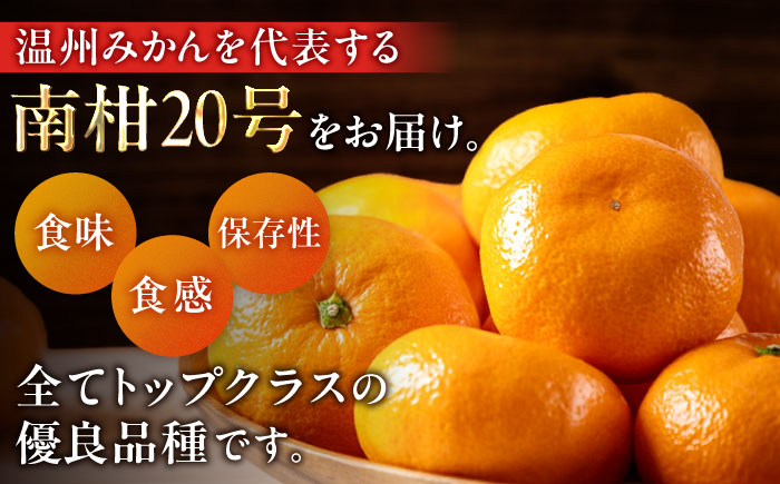 【先行予約】【12月上旬から順次発送】【期間・数量限定】愛媛みかん 南柑20号 赤秀10kg箱（100玉〜160玉） 果物 フルーツ みかん ミカン 愛媛みかん 愛媛県大洲市/愛媛たいき農業協同組合[AGAO007]