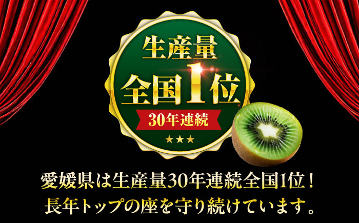 訳アリ キウイフルーツ 約2kg　愛媛県大洲市/沢井青果有限会社 訳アリ 訳あり ご家庭用　 [AGBN051]