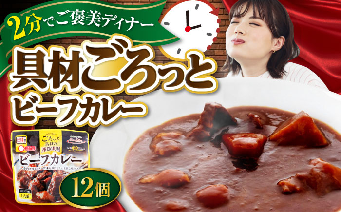 San felice ビーフカレー×12パック　愛媛県大洲市/一般社団法人キタ・マネジメント（大洲まちの駅あさもや）ビーフカレー 常温 洋食 簡単調理 煮込み料理 備蓄食材 [AGCP823]
