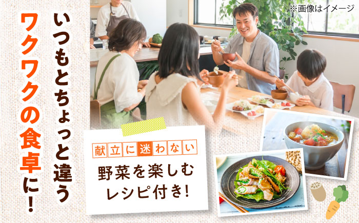 【全6回定期便】生産者の顔が見えるから安心して食べられる！毎回ちがう旬の農産物定期便　愛媛県大洲市/大洲市青年農業者協議会 [AGBL001]サラダ カレー トマト 料理 収穫 ダイエット ヘルシー ブロッコリー きゅうり キャベツ 鍋 健康 とうもろこし 果物 和食 スープ ミニトマト