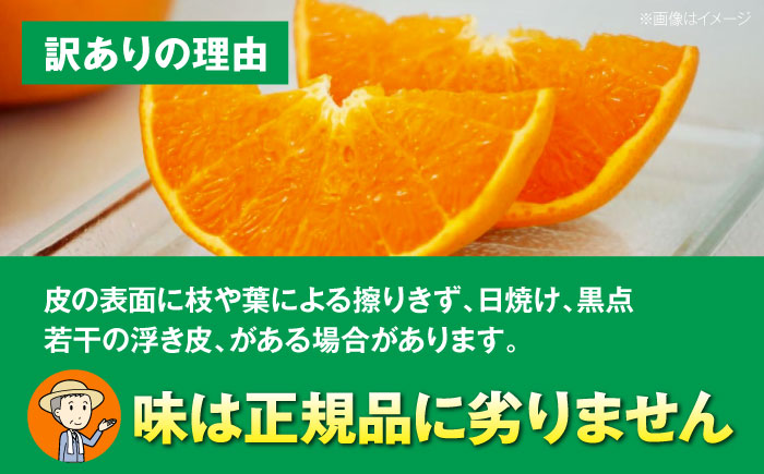 【先行予約】3月から順次発送】【ちょっと訳あり家庭用】せとか 約3kg/愛媛県大洲市 有限会社カーム/カームシトラス せとか 訳あり 果物 訳あり みかん 家庭用 [AGBW015]