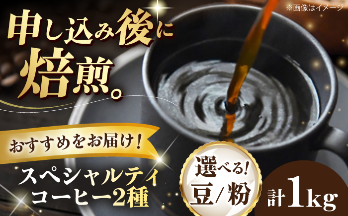 コーヒー豆  スペシャルティコーヒー おすすめ2種セット 各500g 珈琲 コーヒー豆 コーヒー粉 コーヒー ドリップ ドリップ珈琲 飲料 愛媛県大洲市/株式会社日珈 [AGCU028]