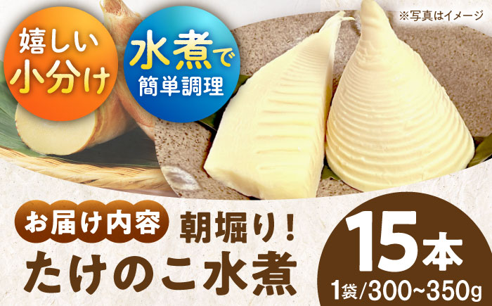 4月28日まで！朝堀りたけのこの水煮（1袋300から350g）5袋セット　愛媛県大洲市/沢井青果有限会社 [AGBN011]筍 タケノコ 竹の子 春 筍ご飯 たけのこご飯 煮物 旬の食材 山菜 筍ごはん メンマ 和食 料理 天ぷら 夕飯  炊き込みご飯 カレー 晩ごはん