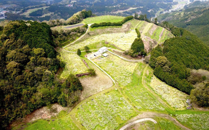 【全3回定期便】果物をたっぷり堪能！果樹園からの旬のくだもの定期便【梨（豊水・新高）・キウイフルーツ】　幸野観光なし園/愛媛県大洲市 [AGBD007]