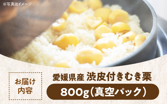 【9月下旬より順次発送】すぐに使えて手間いらず！ほくほく甘い ムキ栗（渋皮付き）800g（真空パック）　愛媛県大洲市/沢井青果有限会社 [AGBN030]くり クリ 手作り おやつ スイーツ デザート モンブラン マロン おかし