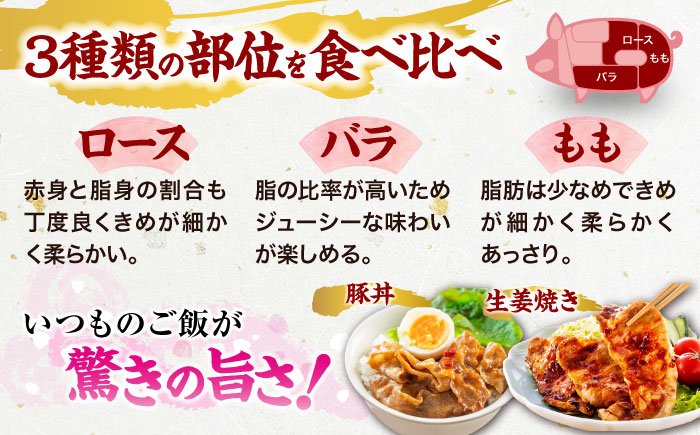 【全6回定期便】【冷凍】【4Xポーク】 豚肉 ポークスライスセット 620g （ロース150g、バラ170g、もも300ｇ） 豚肉 スライス 小分け 肉 ぶたにく 愛媛県大洲市/株式会社SL Creations [AGCY011] お正月 クリスマス