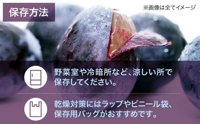 【先行予約】【2025年8月中旬から順次発送】ニューピオーネ 2kg（4から6房）愛媛県大洲市/有限会社ふじブドウ園 果物 くだもの フルーツ 葡萄 ぶどう ピオーネ [AGDB001]