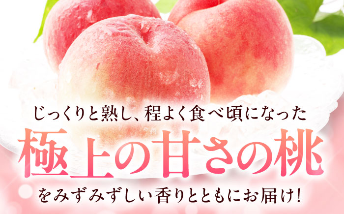 【先行予約】【7月中旬から順次発送】桃果樹園からの恵み！あまい香りとあふれる果汁！厳選の桃9〜13玉入り 愛媛県大洲市/幸野観光なし園［AGBD006］